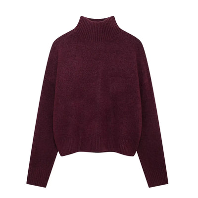 Lioraelle | Elegant Knit Turtleneck Sweater